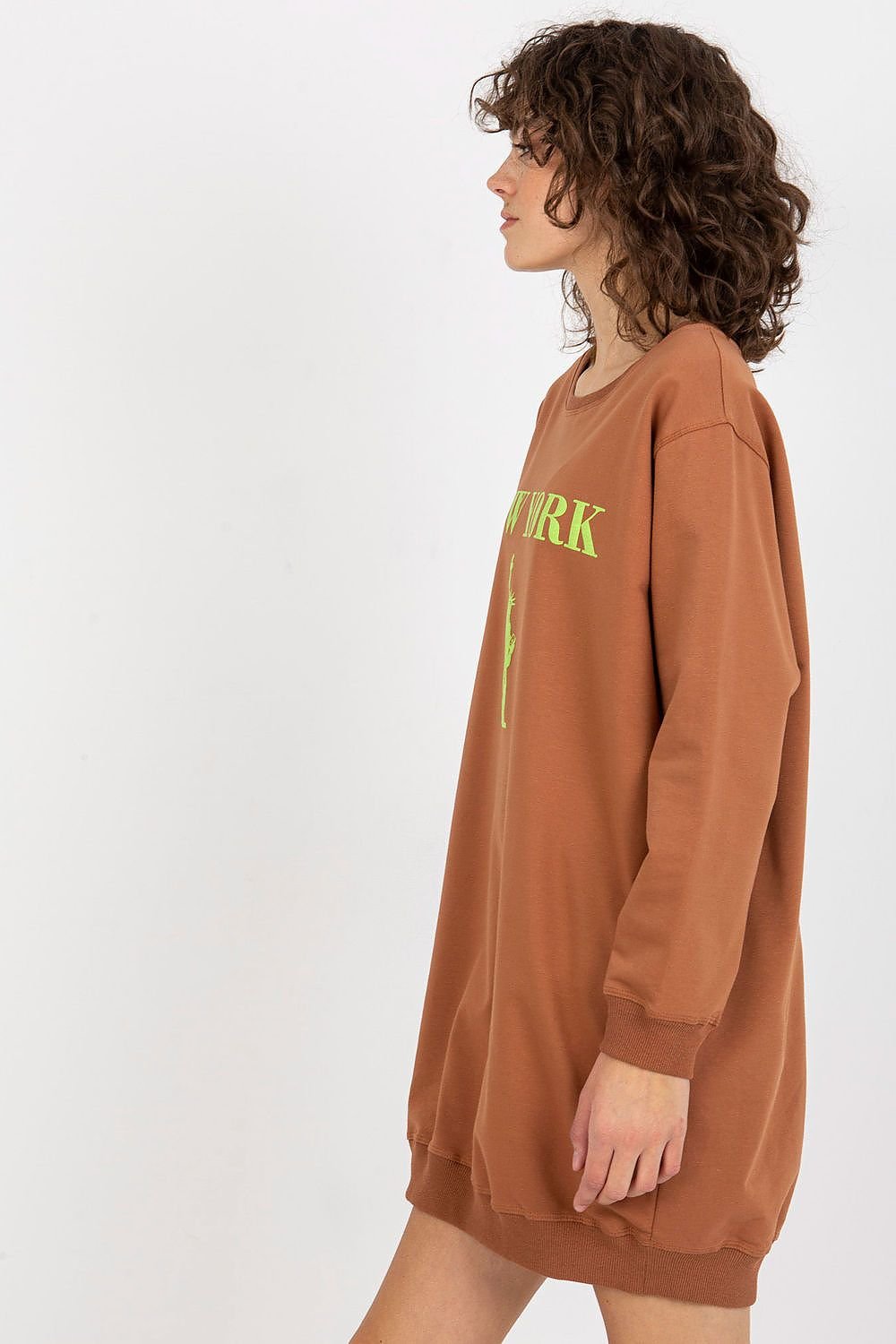 Sweatshirt model 206007 Brown by Factory Price - One Size