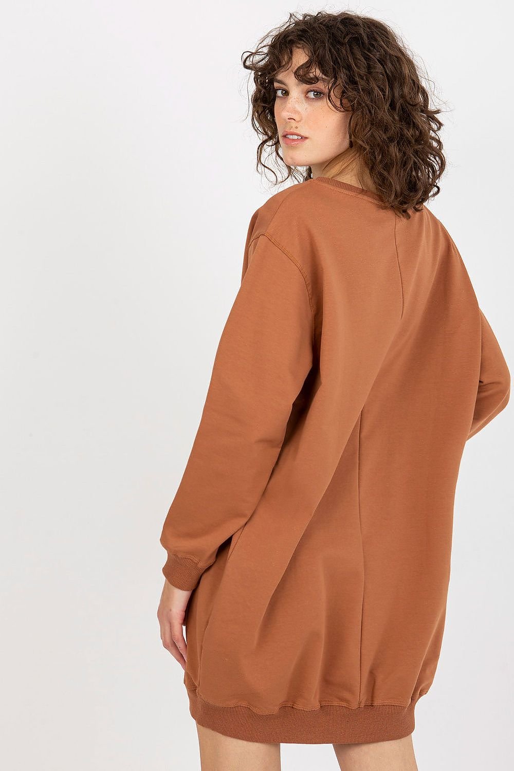 Sweatshirt model 206007 Brown by Factory Price - One Size