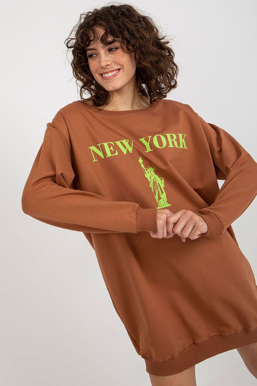 Sweatshirt model 206007 Brown by Factory Price - One Size