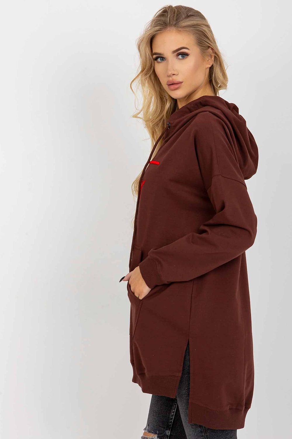 Sweatshirt model 206015 Brown by Factory Price - One Size