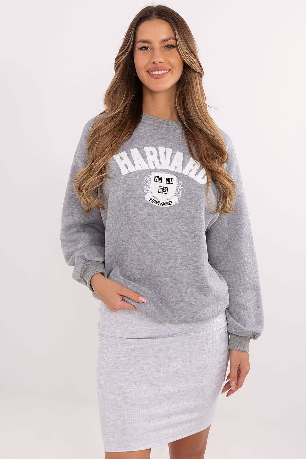 Sweatshirt model 206135 Grey by Factory Price - One Size