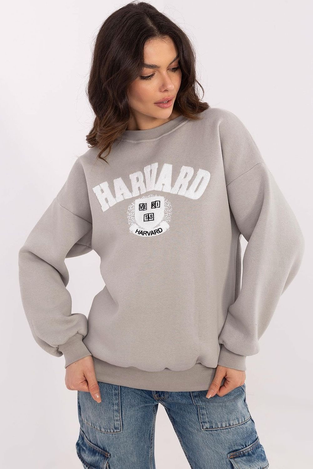 Sweatshirt model 206376 Grey by Factory Price - One Size